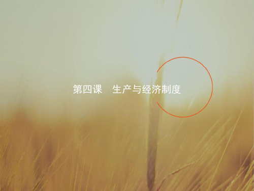2017-2018学年高一政治必修1课件：4-1发展生产 满足消费 精品