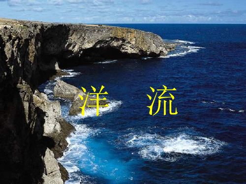 高中地理复习 洋流 29页