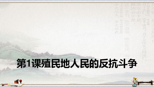 2018年部编版九年级历史下册第1课殖民地人民的反抗斗争 (共17张PPT)