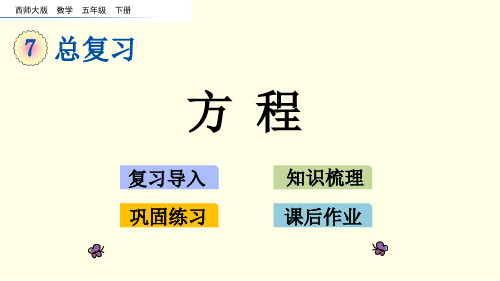 西师大数学课件(五下)方程