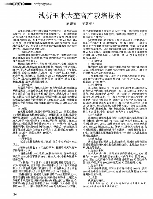 浅析玉米大垄高产栽培技术
