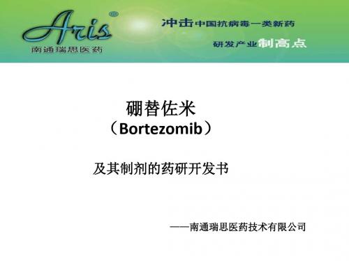 硼替佐米药研开发书