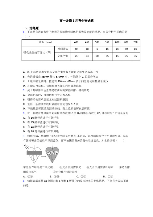 高一必修1月考生物试题