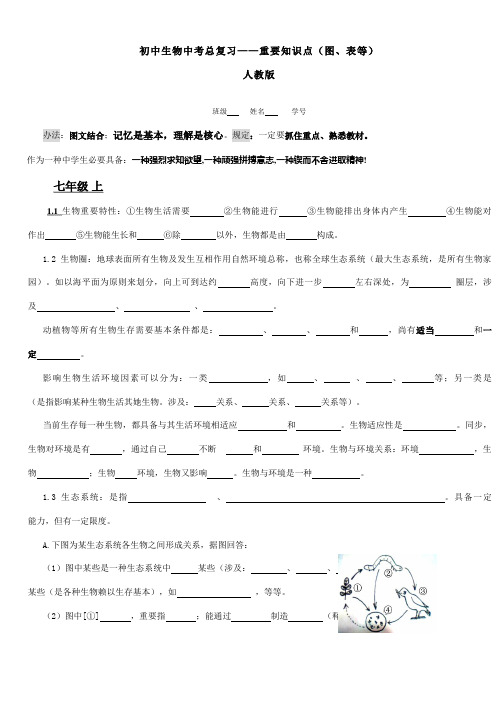 2021年初中生物中考总复习重要知识点图表等