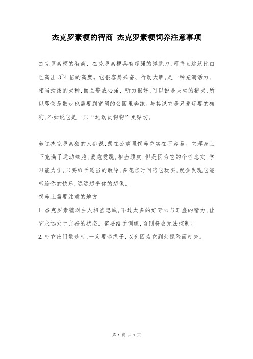 杰克罗素梗的智商 杰克罗素梗饲养注意事项