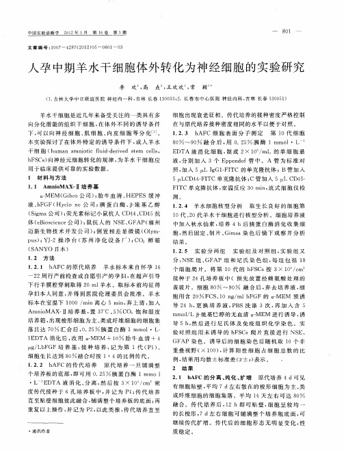 人孕中期羊水干细胞体外转化为神经细胞的实验研究