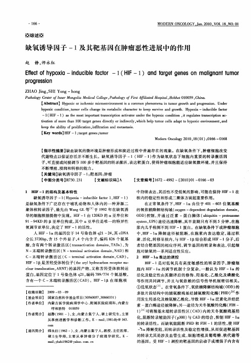 缺氧诱导因子-1及其靶基因在肿瘤恶性进展中的作用