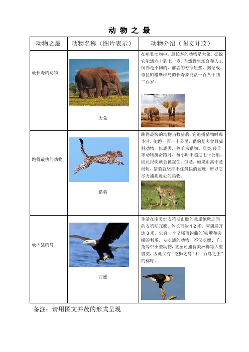 幼儿园收集—动物之最