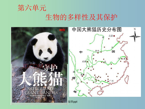 八年级生物上册 6.1.1 尝试对生物进行分类1 新人教版