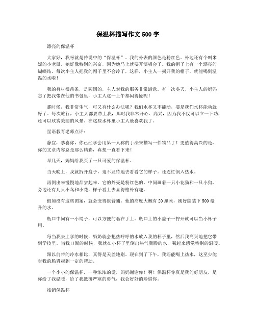 保温杯描写作文500字