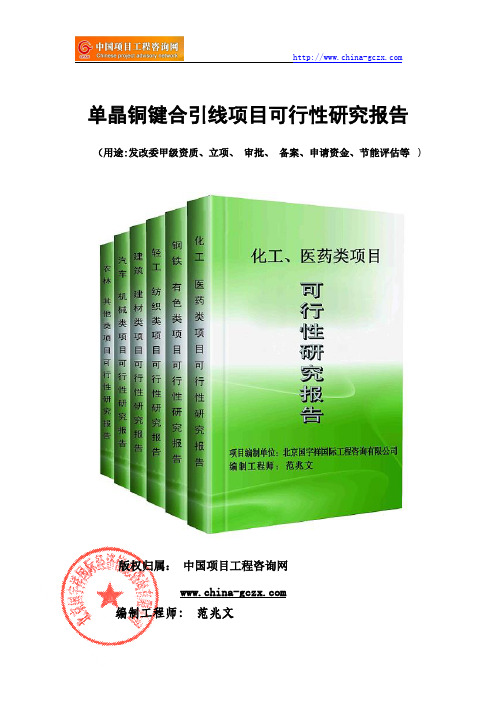 单晶铜键合引线项目可行性研究报告(备案立项模板)