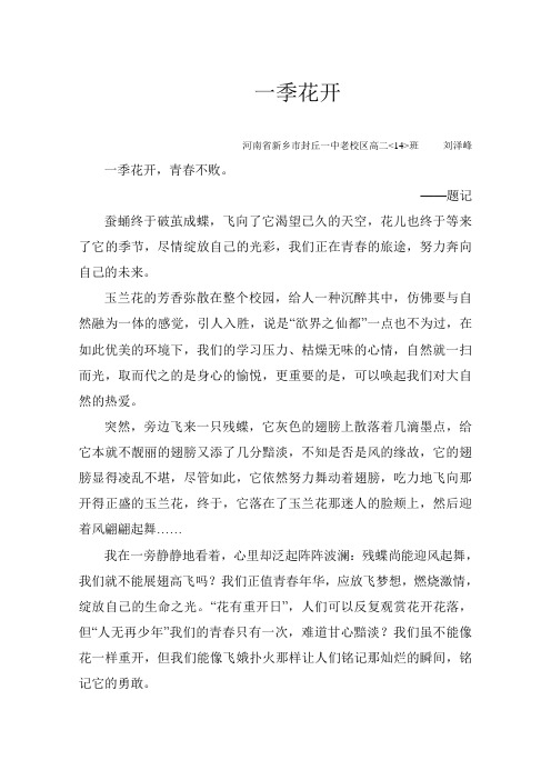 获奖征文《一季花开》(作者：封丘一中 刘泽峰  辅导教师：付亚菲)