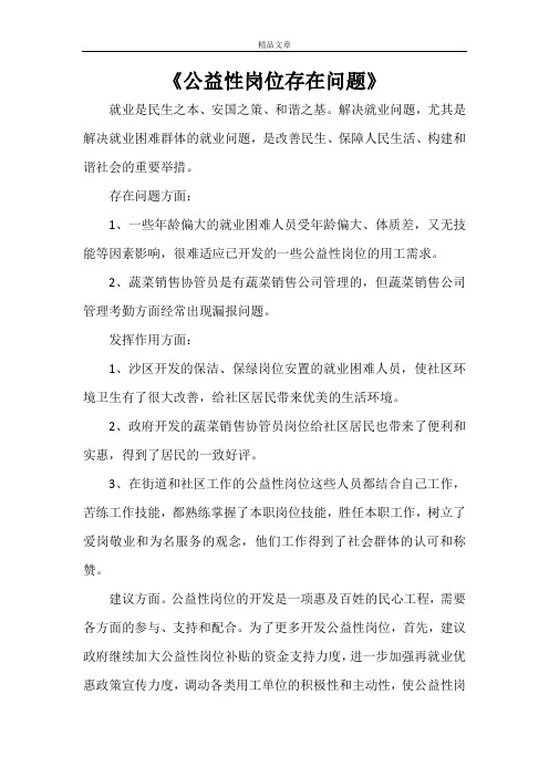 《公益性岗位存在问题》