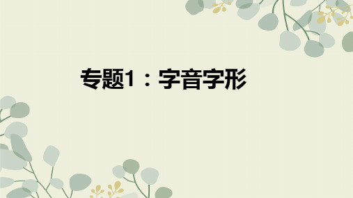 中考语文复习专题1字音字形中考语文