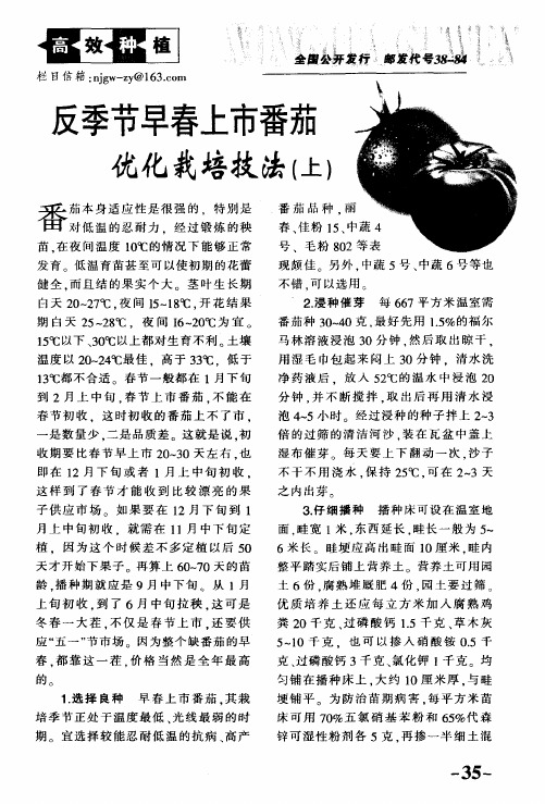 反季节早春上市番茄优化栽培技法(上)