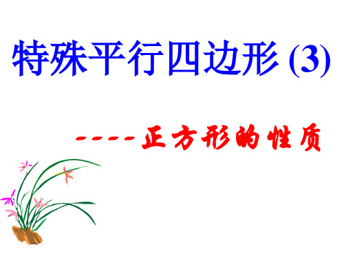 北师大版九年级数学上册1.3.1：正方形的性质课件(共27张PPT)