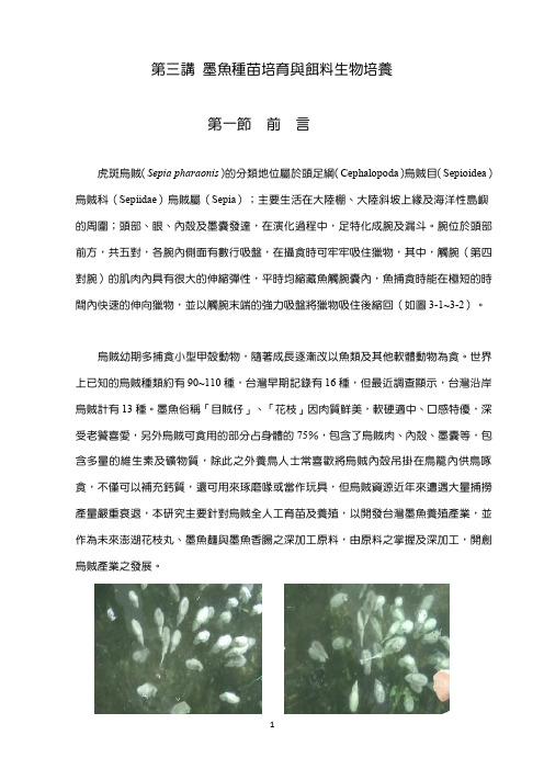 墨鱼种苗培育跟饵生物培养资料精