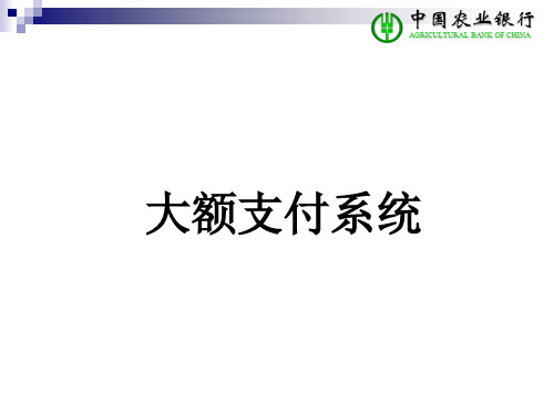 大小额支付系统讲义
