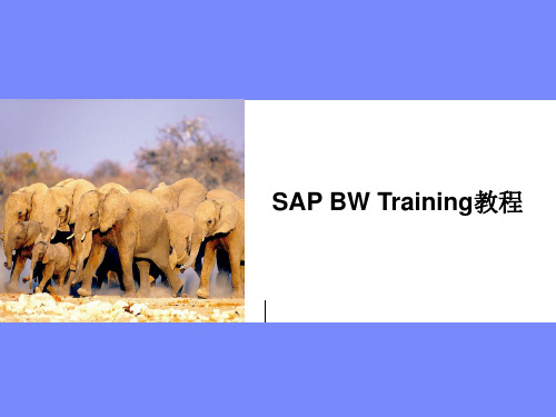 SAP BW Training培训教程课件