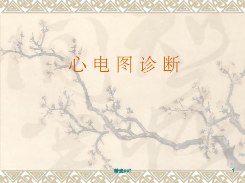 心电图_心电向量详解PPT课件