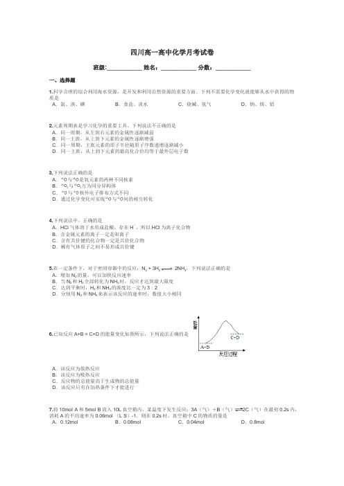 四川高一高中化学月考试卷带答案解析
