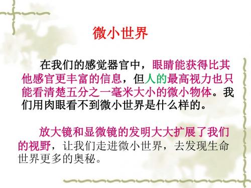 科教版六年级科学下册《放大镜》PPT