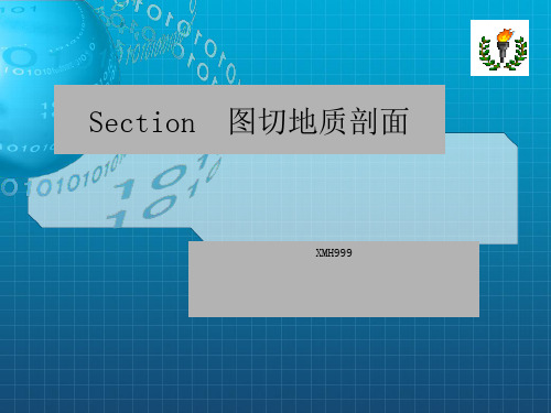 利用Section 图切地质剖面