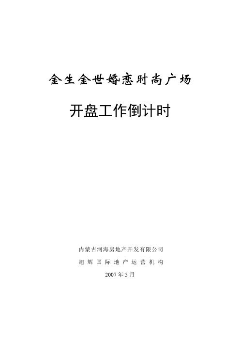 呼市项目开盘工作计划DOC