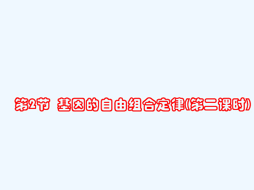 基因的自由组合定律