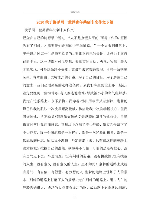 2020关于携手同一世界青年共创未来作文5篇