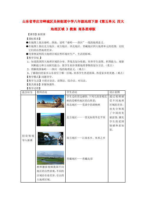 山东省八年级地理下册《第五单元四大地理区域》教案商务星球版