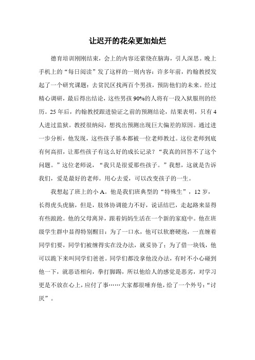 让迟开的花朵更加灿烂