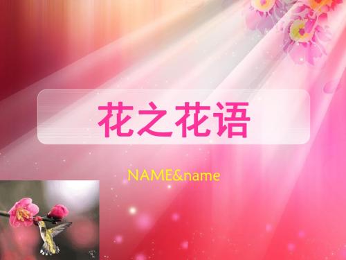 花之花语