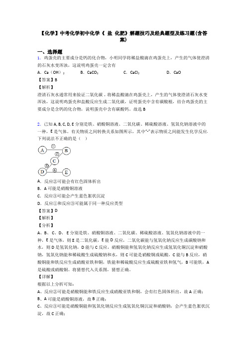 【化学】中考化学初中化学《 盐 化肥》解题技巧及经典题型及练习题(含答案)
