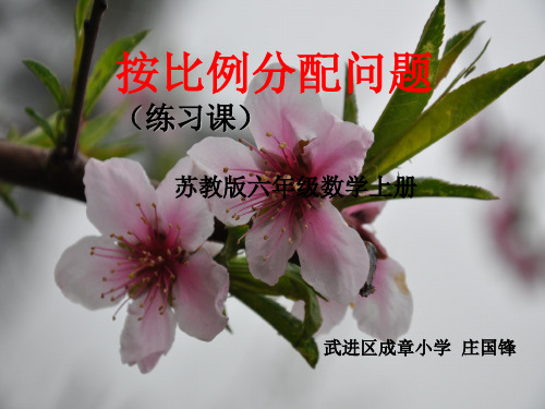 六年级【上】数学-1 按比例分配的实际问题练习_苏教版-优秀课件 (13张)