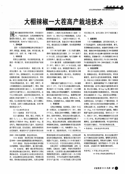 大棚辣椒一大茬高产裁墙技术