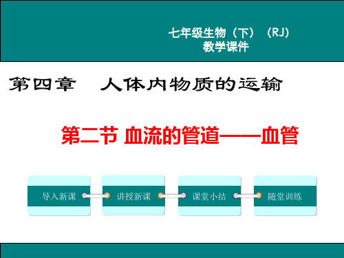 人教版七年级生物下《血流的管道——血管》PPT课件