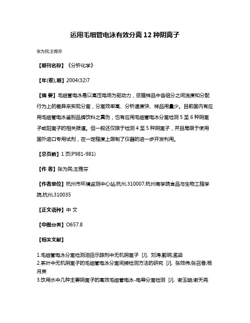 运用毛细管电泳有效分离12种阴离子