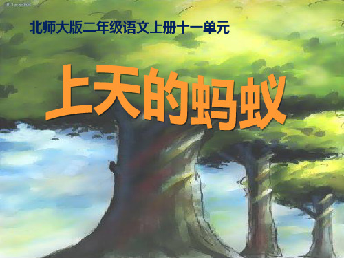 《上天的蚂蚁》PPT课件3 (共50张PPT)