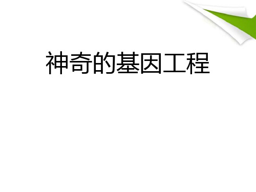 《神奇的基因工程》精品教学课件.