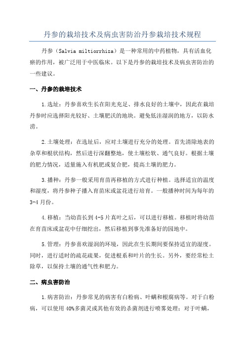 丹参的栽培技术及病虫害防治丹参栽培技术规程