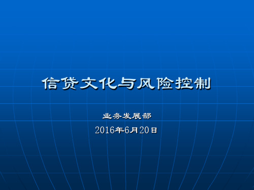 信贷文化与风险防控 ppt课件