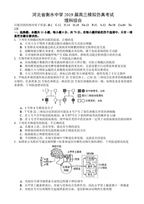 河北省衡水中学2019届高三模拟仿真考试理科综合试题及答案