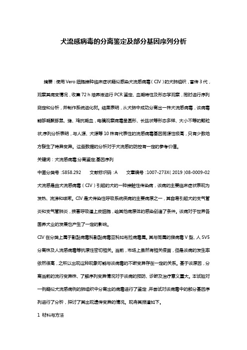 犬流感病毒的分离鉴定及部分基因序列分析