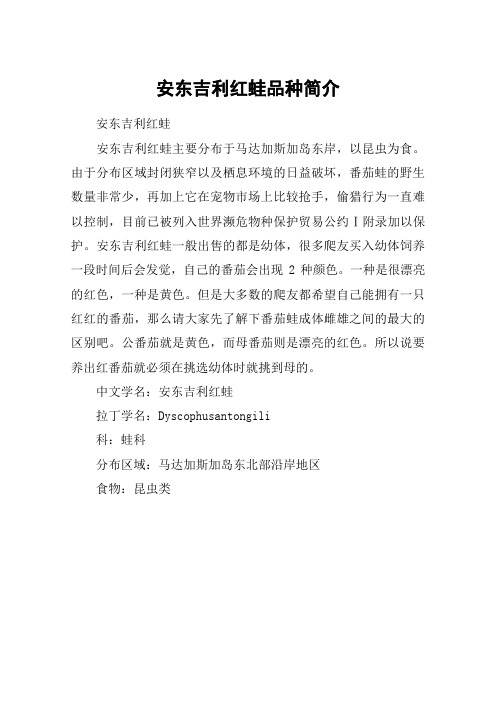 安东吉利红蛙品种简介