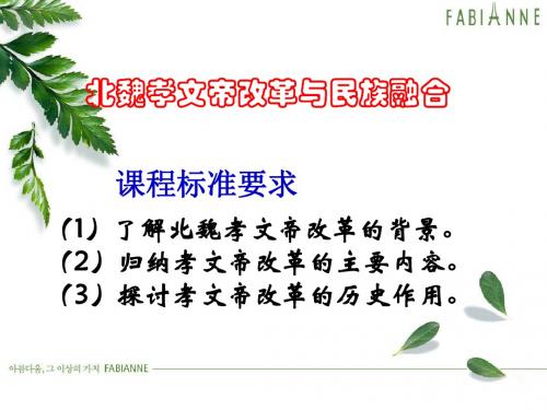 岳麓书社版高中历史选修一2.5《北魏孝文帝改革与民族融合》课件(共41张PPT)