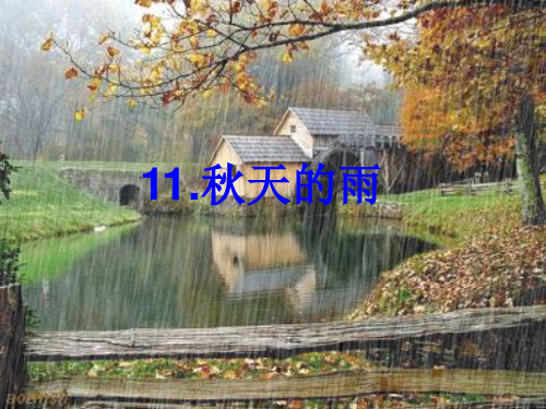 公开课【秋天的雨】第二课时ppt课件