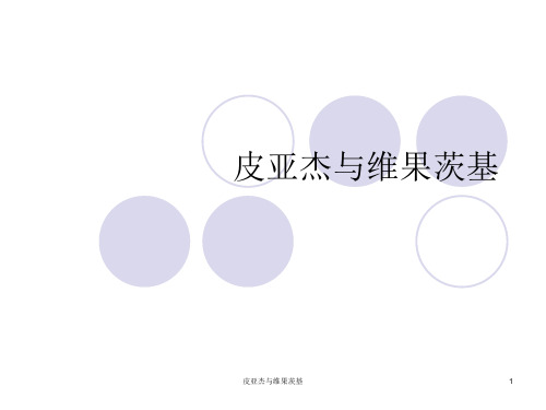 皮亚杰与维果茨基 ppt课件