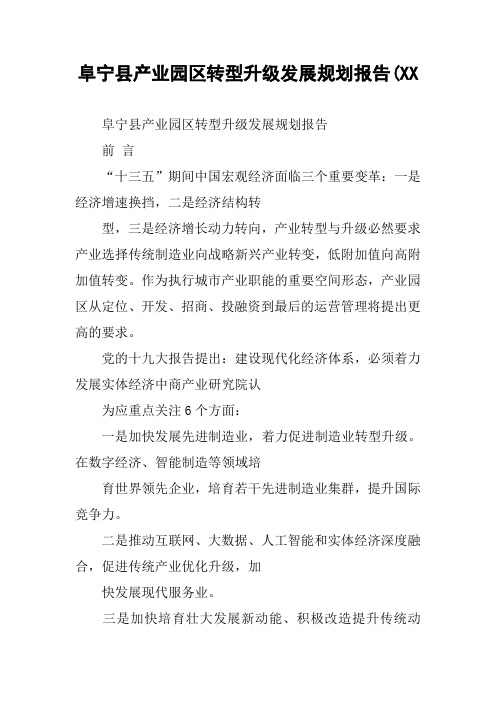 xx县产业园区转型升级发展规划报告(XX
