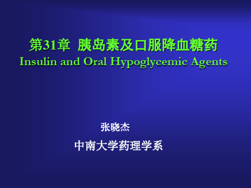31章 降糖药1